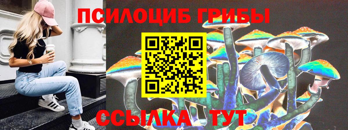 Галлюциногенные грибы мухоморы Октябрьский