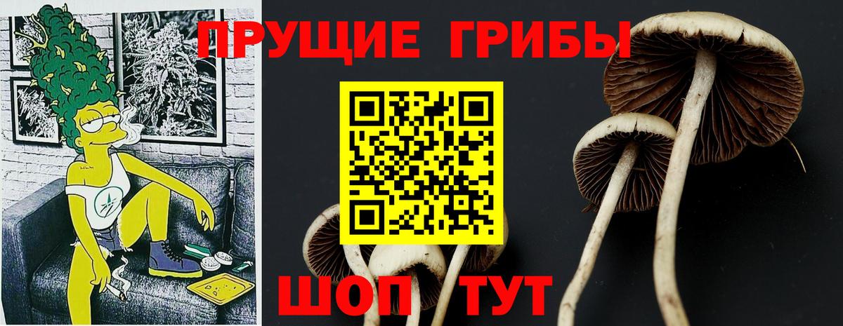 Октябрьский  Псилоцибиновые грибы прущие грибы  Вход с VPN 